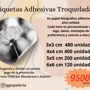 ETIQUETAS TROQUELADAS ADHESIVO RESISTENTE